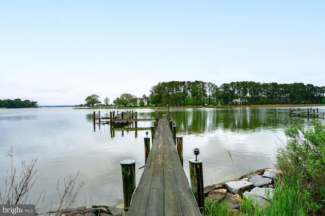 8320 Ingleton Cir W, Easton, MD 21601 - dock area featuring a water view