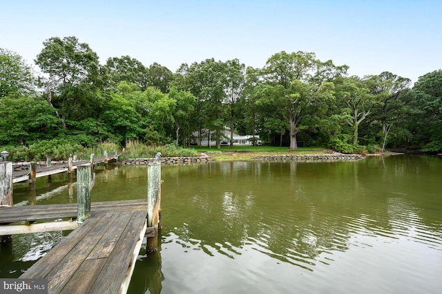 8320 Ingleton Cir W, Easton, MD 21601 - dock with a water view