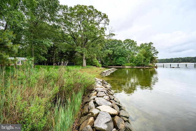 8320 Ingleton Cir W, Easton, MD 21601 - water view