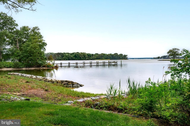 8320 Ingleton Cir W, Easton, MD 21601 - dock with a water view