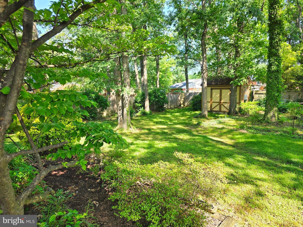 view of yard with a shed and an outbuilding