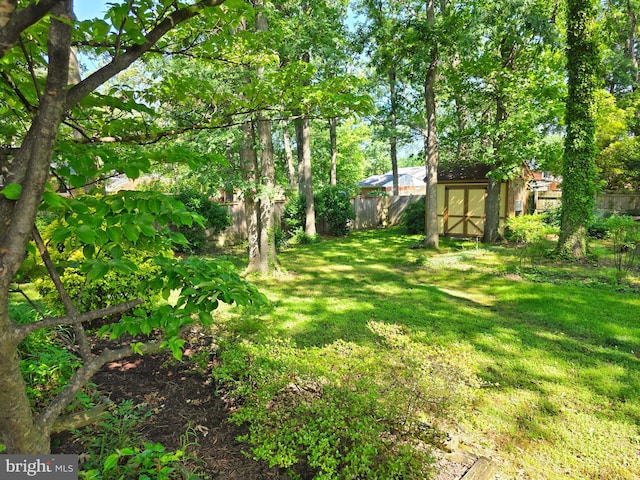 view of yard with a shed and an outbuilding