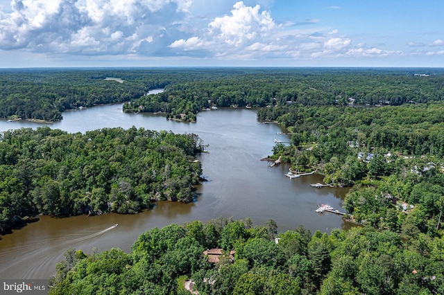 109 Kingfisher Cir, Weems, VA 22576 - bird's eye view of a forest and a large body of water