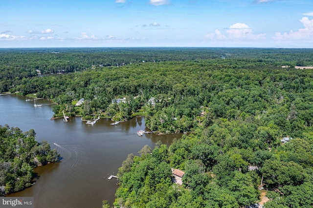 109 Kingfisher Cir, Weems, VA 22576 - bird's eye view of a heavily wooded area and a large body of water