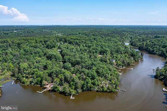 109 Kingfisher Cir, Weems, VA 22576 - bird's eye view of a heavily wooded area and a large body of water
