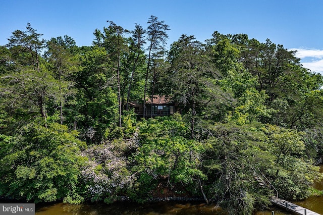 109 Kingfisher Cir, Weems, VA 22576 - view of yard with a forest view