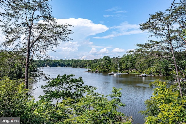109 Kingfisher Cir, Weems, VA 22576 - water view featuring a heavily wooded area