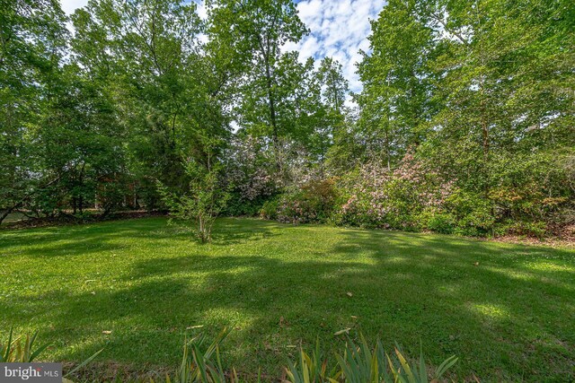 109 Kingfisher Cir, Weems, VA 22576 - view of grassy yard