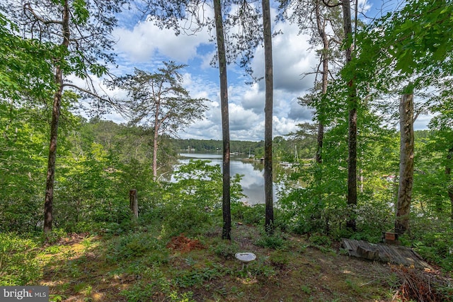 109 Kingfisher Cir, Weems, VA 22576 - water view featuring a heavily wooded area