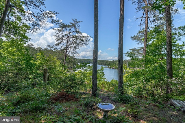 109 Kingfisher Cir, Weems, VA 22576 - water view