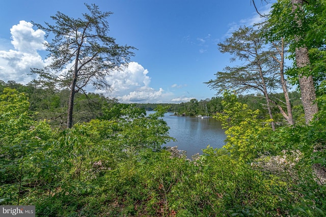 109 Kingfisher Cir, Weems, VA 22576 - water view featuring a heavily wooded area