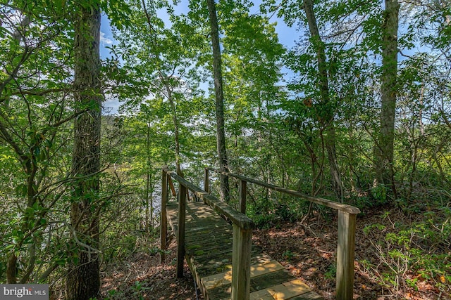 109 Kingfisher Cir, Weems, VA 22576 - view of local wilderness