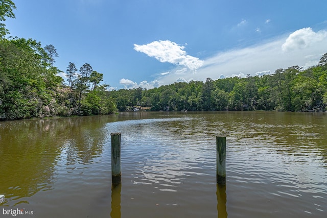 109 Kingfisher Cir, Weems, VA 22576 - dock with a wooded view and a water view