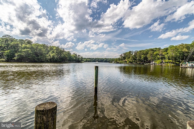 109 Kingfisher Cir, Weems, VA 22576 - dock area with a water view and a forest view