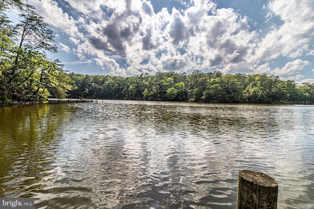 109 Kingfisher Cir, Weems, VA 22576 - water view with a forest