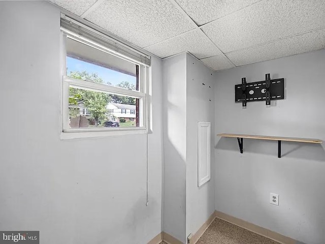 spacious closet featuring a drop ceiling and carpet floors