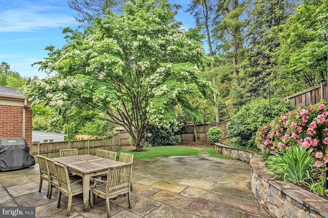4701 Fort Sumner Dr, Bethesda, MD 20816 - fenced backyard with a patio, a grill, and outdoor dining space