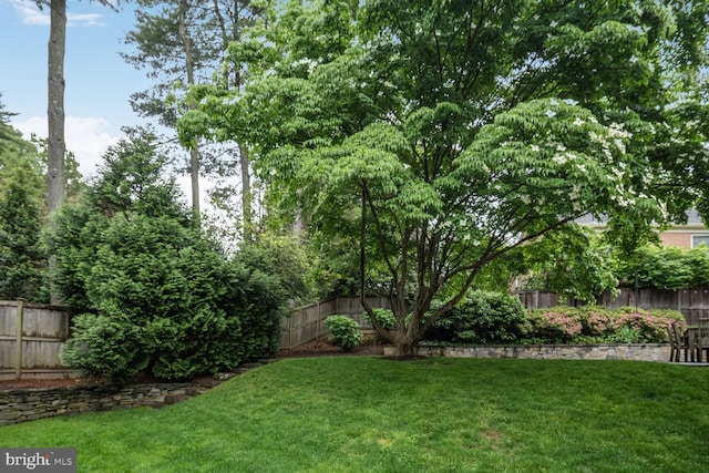 4701 Fort Sumner Dr, Bethesda, MD 20816 - view of yard