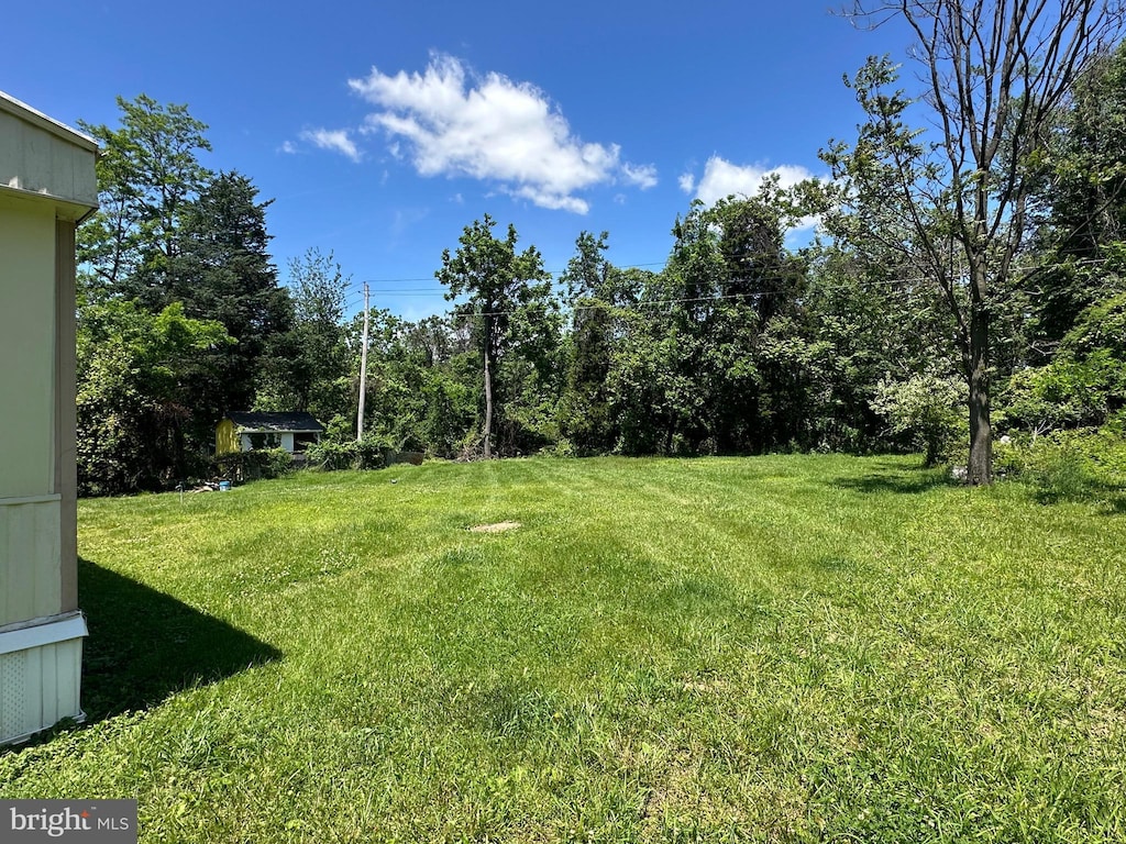 view of grassy yard