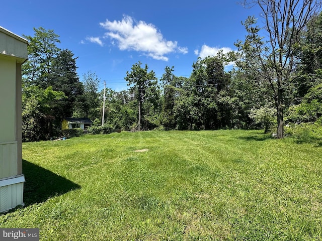 view of grassy yard