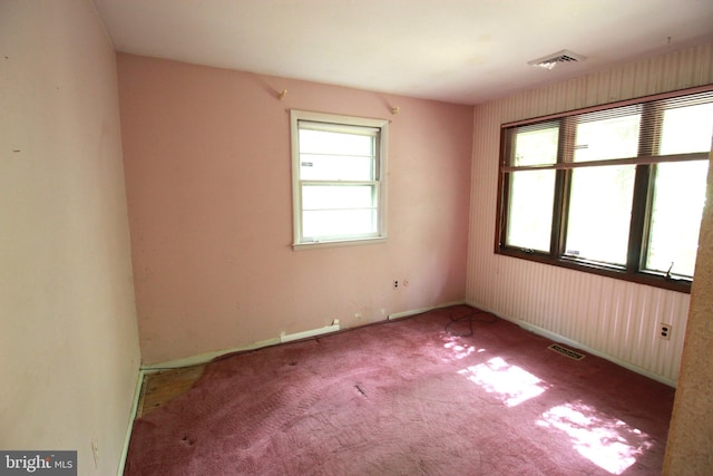 unfurnished room featuring carpet floors