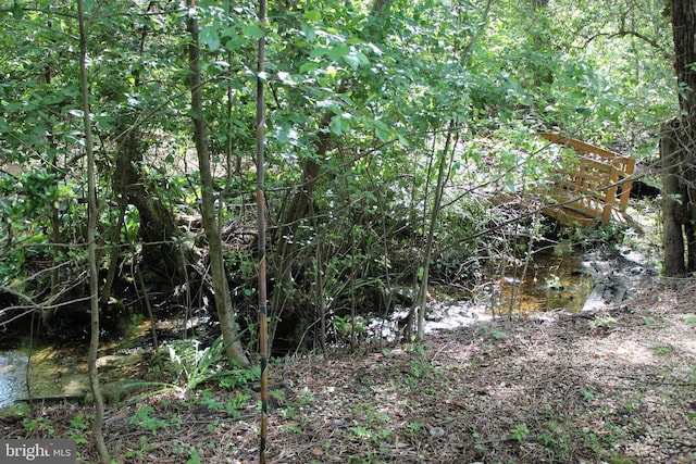 view of undeveloped land