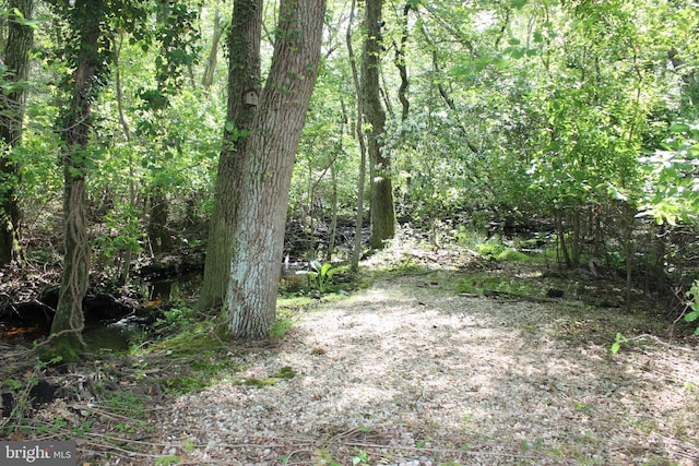 view of undeveloped land