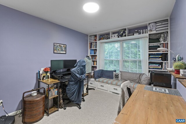 1731 Webland Park, Charlottesville, VA 22901 - view of carpeted home office