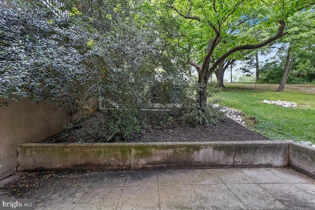 1900 Lyttonsville Rd Unit 216, Silver Spring, MD 20910 - view of green lawn
