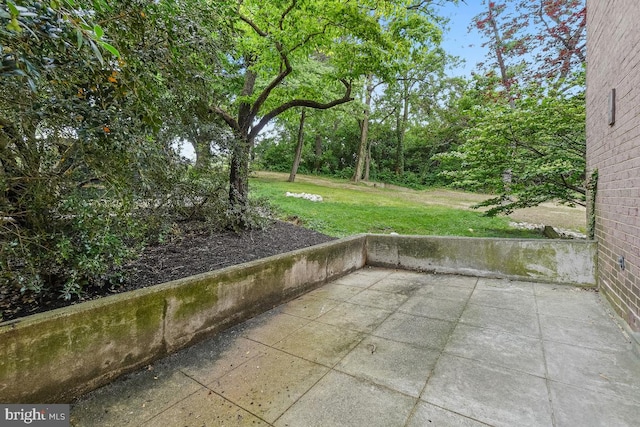 1900 Lyttonsville Rd Unit 216, Silver Spring, MD 20910 - view of patio
