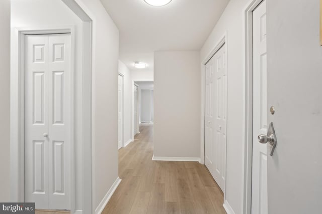 1900 Lyttonsville Rd Unit 216, Silver Spring, MD 20910 - hallway with baseboards and light wood-style flooring