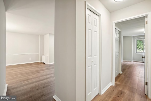 1900 Lyttonsville Rd Unit 216, Silver Spring, MD 20910 - hall featuring wood finished floors, baseboards, and radiator