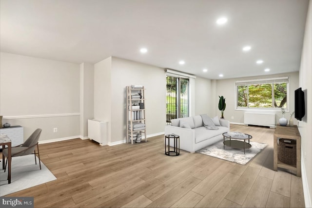 1900 Lyttonsville Rd Unit 216, Silver Spring, MD 20910 - living area with radiator heating unit, wood finished floors, recessed lighting, and baseboards