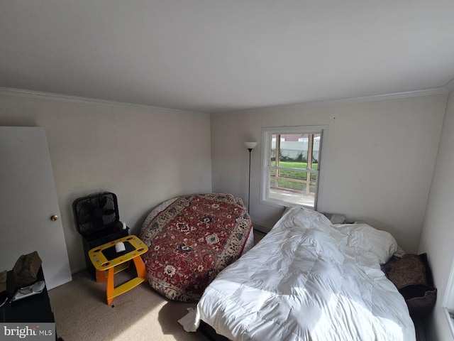 33 Middlebury Ln, Willingboro, NJ 08046 - bedroom featuring carpet flooring and crown molding