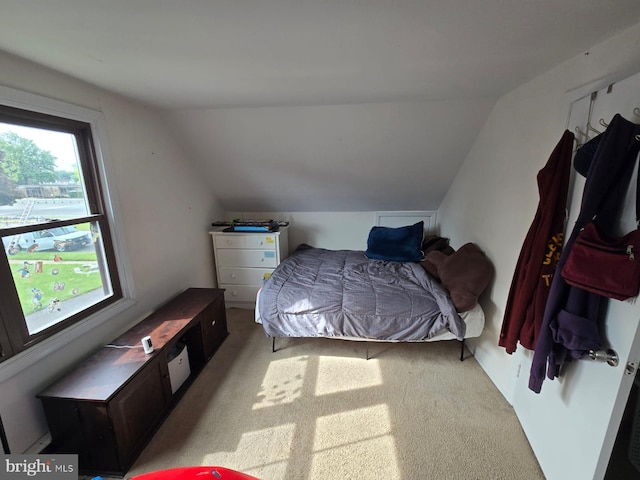 33 Middlebury Ln, Willingboro, NJ 08046 - carpeted bedroom with lofted ceiling