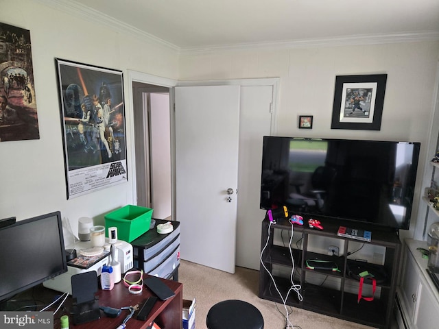 33 Middlebury Ln, Willingboro, NJ 08046 - office space with carpet and ornamental molding