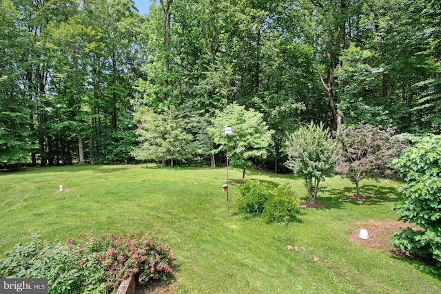 1021 Carson Dr, Huntingtown, MD 20639 - view of grassy yard