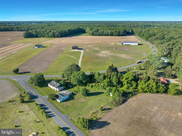 24532 Deep Branch Rd, Georgetown, DE 19947 - view of property location featuring rural landscape and a forest