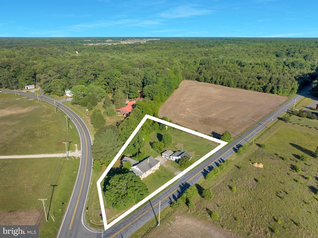 24532 Deep Branch Rd, Georgetown, DE 19947 - aerial view of property and surrounding area featuring a heavily wooded area and property parcel outlined
