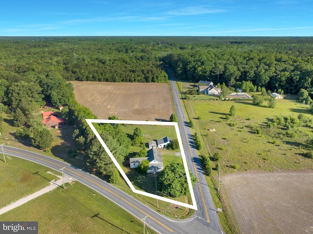 24532 Deep Branch Rd, Georgetown, DE 19947 - aerial overview of property's location with a forest and property boundaries highlighted