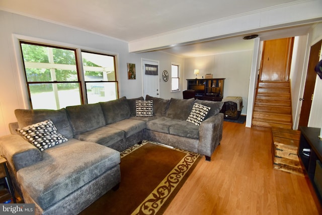 194 Irene Ave, Pasadena, MD 21122 - living room featuring wood finished floors, crown molding, and stairway