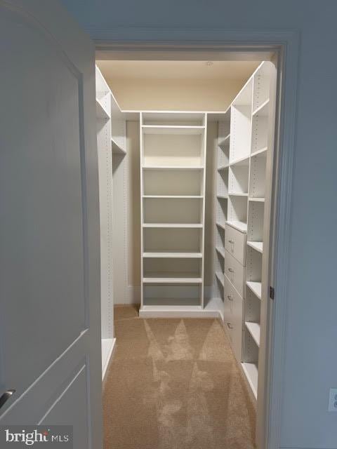 9200 Charleston Dr Unit 207, Manassas, VA 20110 - spacious closet with carpet flooring