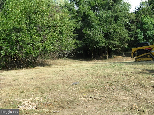 1CA Harmon Ldg, Round Hill, VA 20141 - view of yard