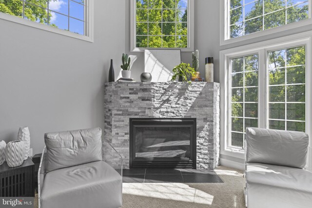 17621 Auburn Village Dr, Sandy Spring, MD 20860 - living room featuring a stone fireplace