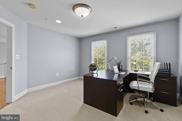 17621 Auburn Village Dr, Sandy Spring, MD 20860 - office featuring light carpet and baseboards