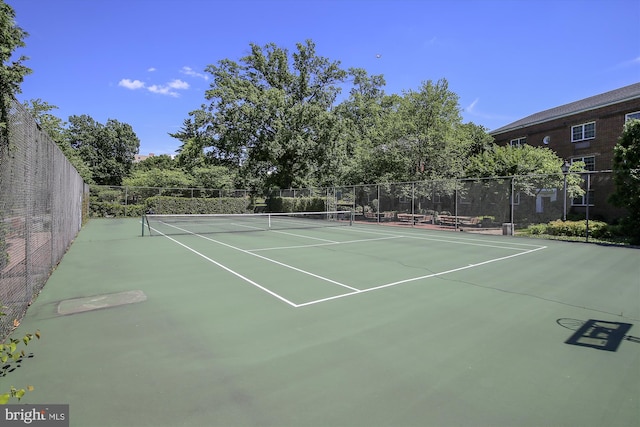 1712 W Abingdon Dr Unit 102, Alexandria, VA 22314 - view of tennis court with community basketball court