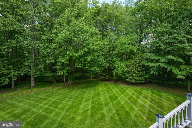 601 Utterback Store Rd, Great Falls, VA 22066 - view of green lawn