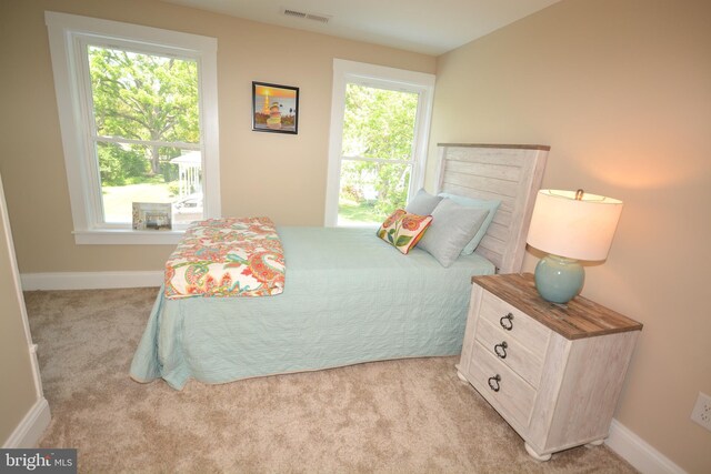 204 W Chew Ave, Saint Michaels, MD 21663 - bedroom with light carpet, multiple windows, and baseboards