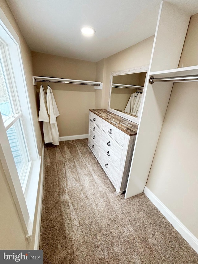 204 W Chew Ave, Saint Michaels, MD 21663 - walk in closet featuring light carpet
