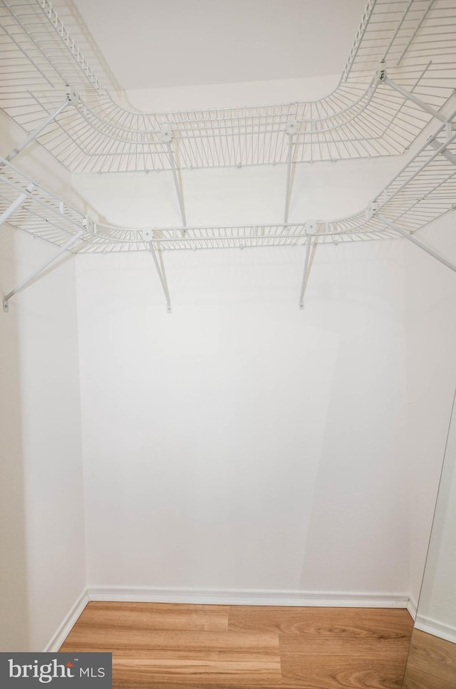 3313 Wyndham Cir Unit 4209, Alexandria, VA 22302 - walk in closet with wood finished floors